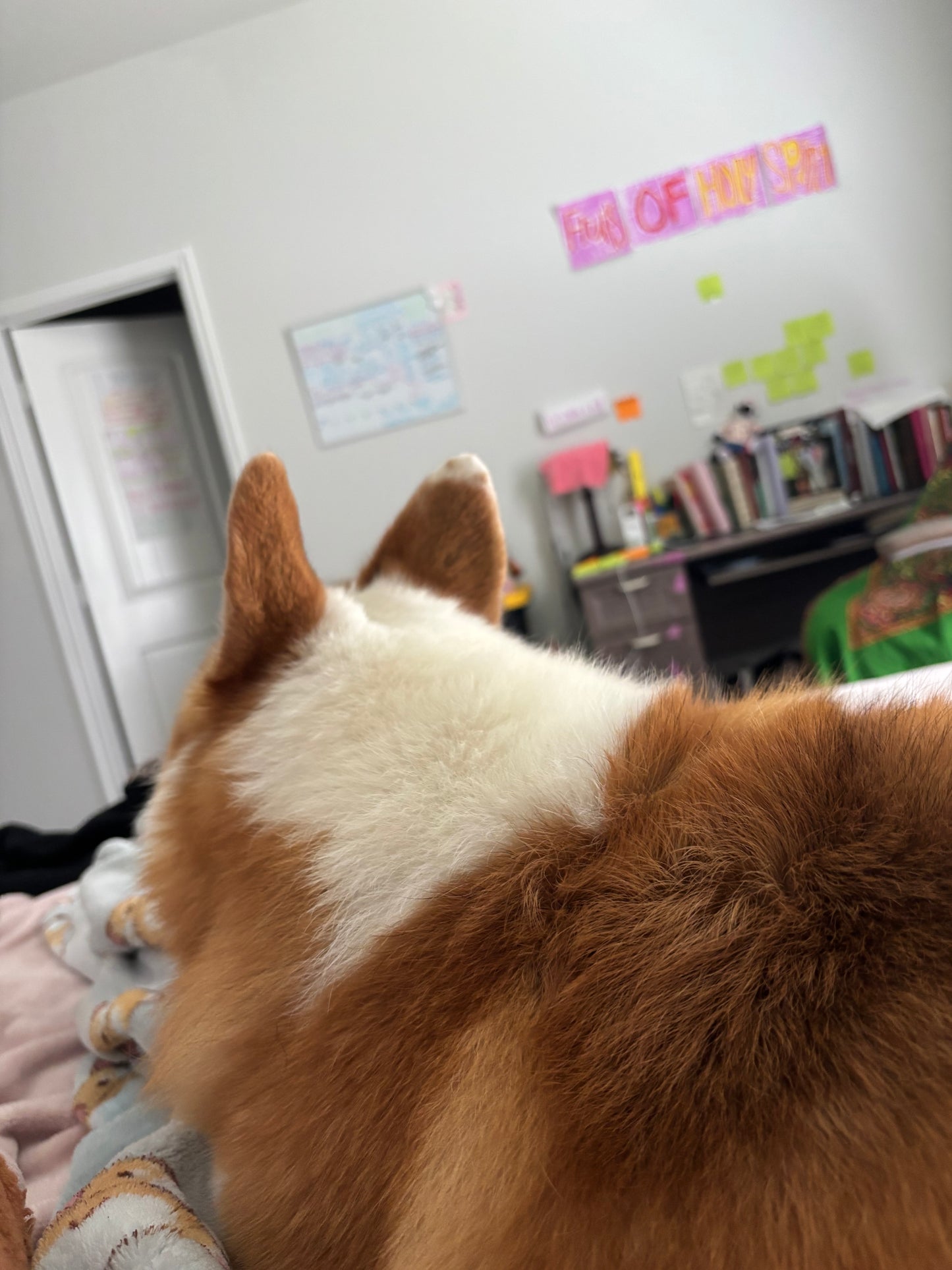 Corgi Tea Party & Boho Vibes ~ Throw Blanket
