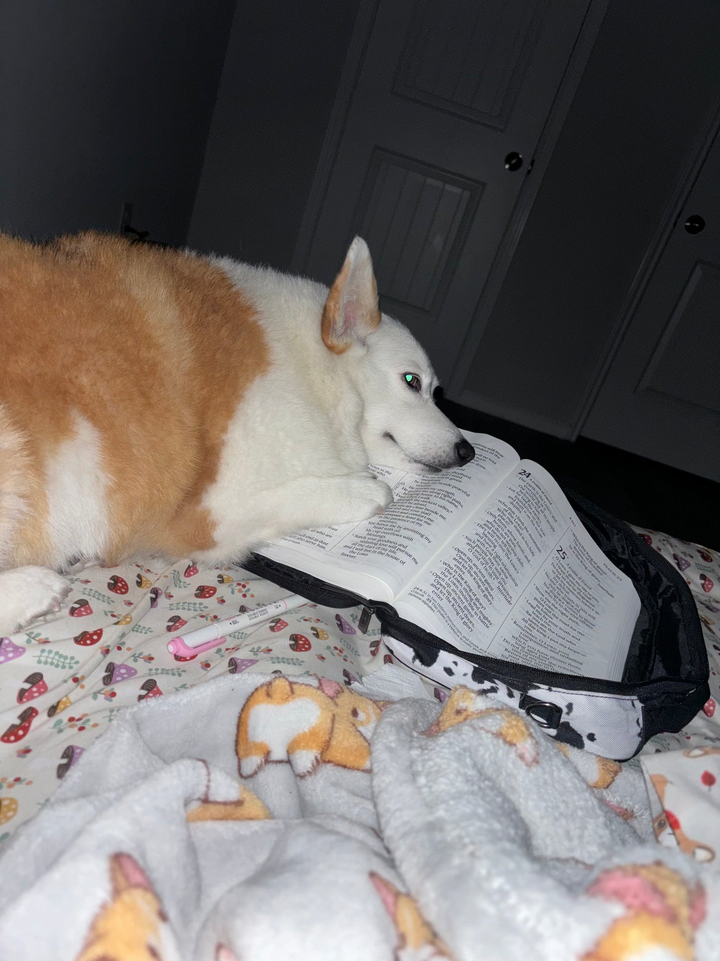 Rory's Quiet Snuggles ~ Oversized Tote