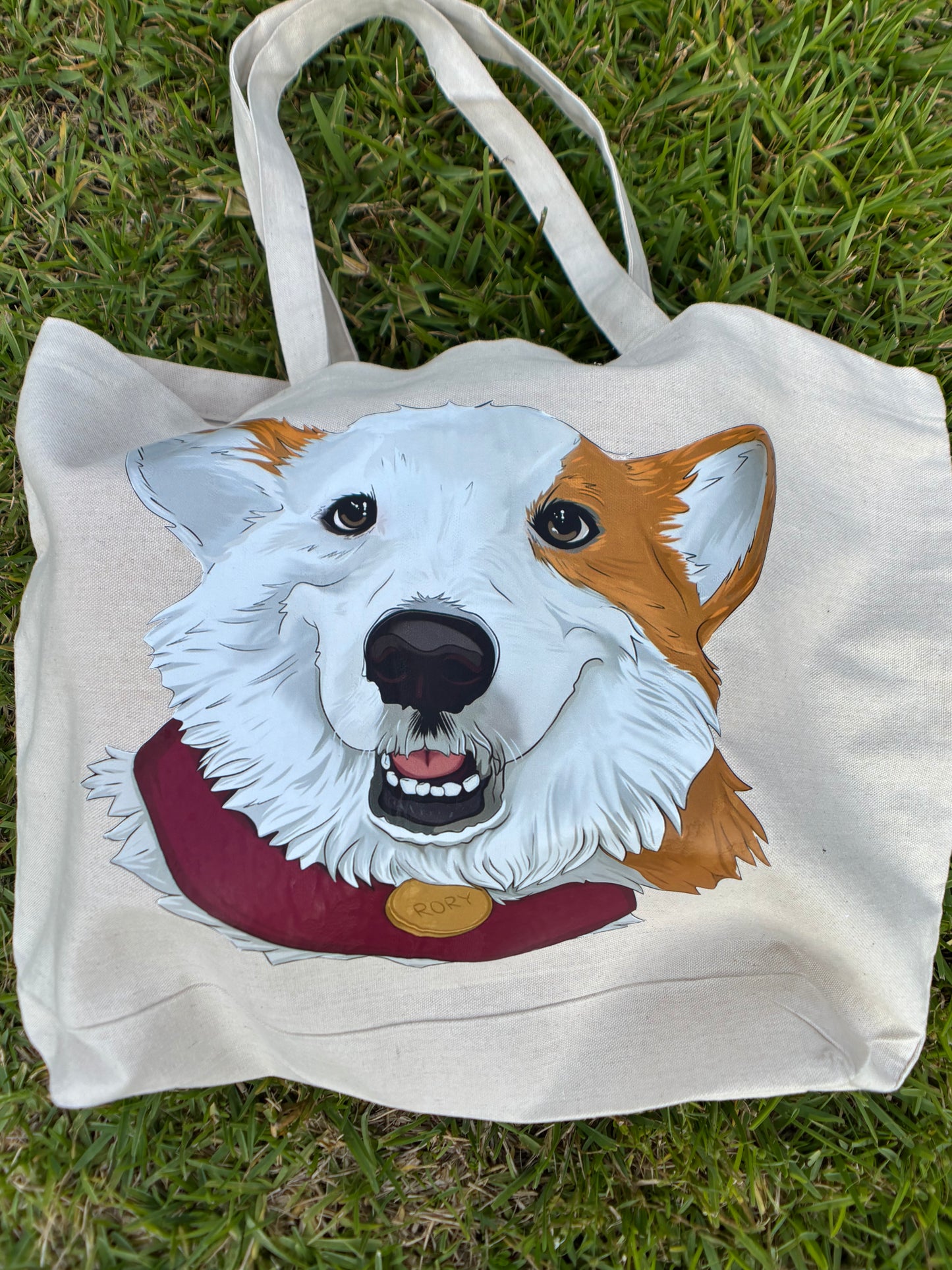 Rory, CEO of Corgitude Bundle